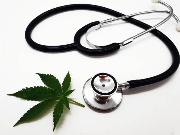 Cannabis in healthcare industry