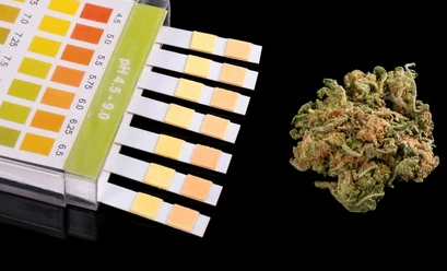 Urine test for cannabis presence