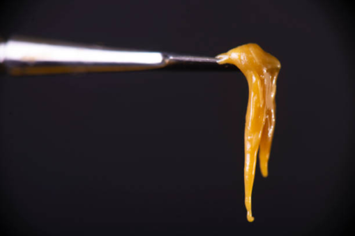 Rosin Extraction | SES
