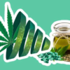 Solvent-Based Cannabis Extraction | SES
