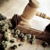 Cannabis Drugs Law