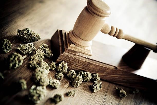 Cannabis Drugs Law